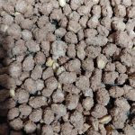 Amendoim doce crocante - Foto de usuário