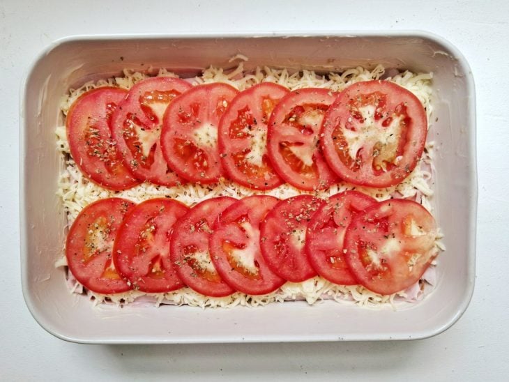 Forma com uma camada de todos os ingredientes do bauru.