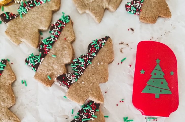 16 receitas de biscoito de Natal para encantar a todos 16 receitas de biscoito de Natal para encantar a todos