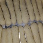 Foto da receita por janete