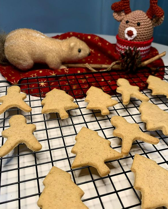 Biscoitos de canela de Natal