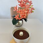 Bolo com tâmaras sem açúcar - Foto de usuário