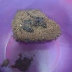 Foto da receita por Leonardo Cesar