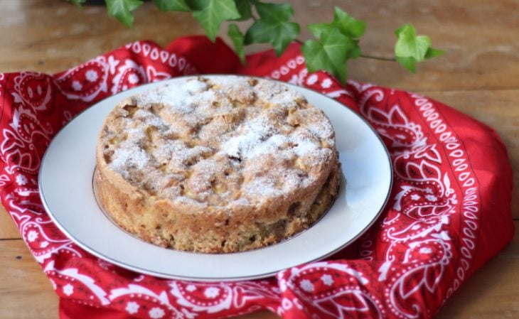 Bolo de maçã com canela em cima de um prato branco.