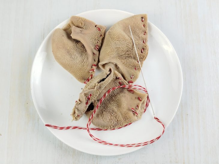 Bucho cortado em pedaços grandes sendo costurados.