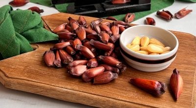 Pinhão na air fryer