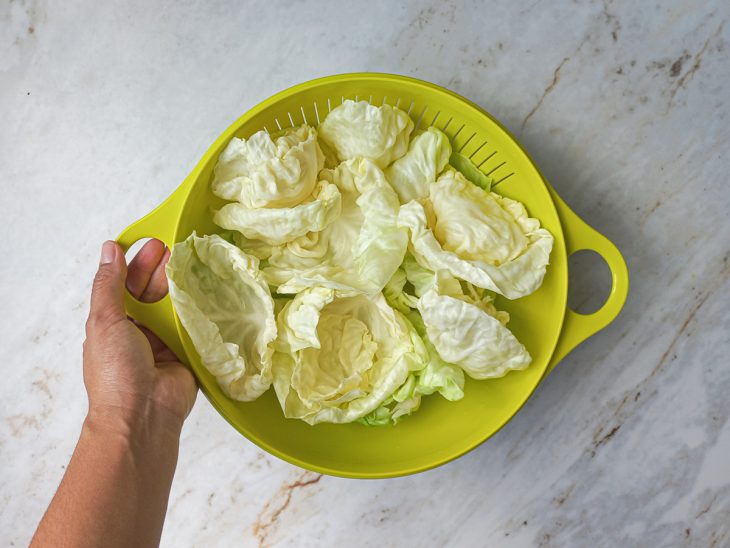 Folhas de repolho cozidas escorrendo.