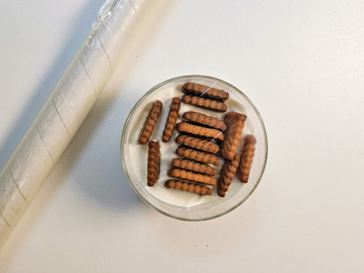 Recipiente fechado com plástico filme antes de ir à geladeira.