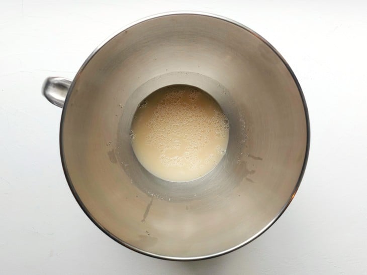 Um recipiente com a mistura de água e fermento biológico seco.