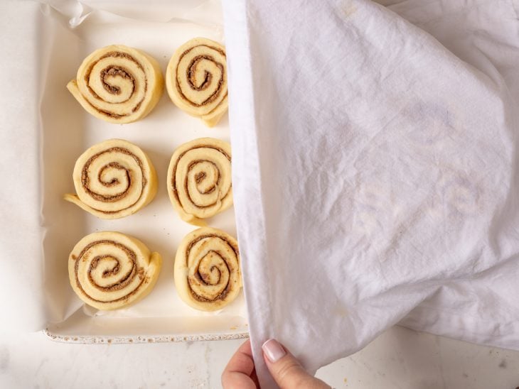 Cinnamon rolls em uma travessa cobertos por um pano úmido.