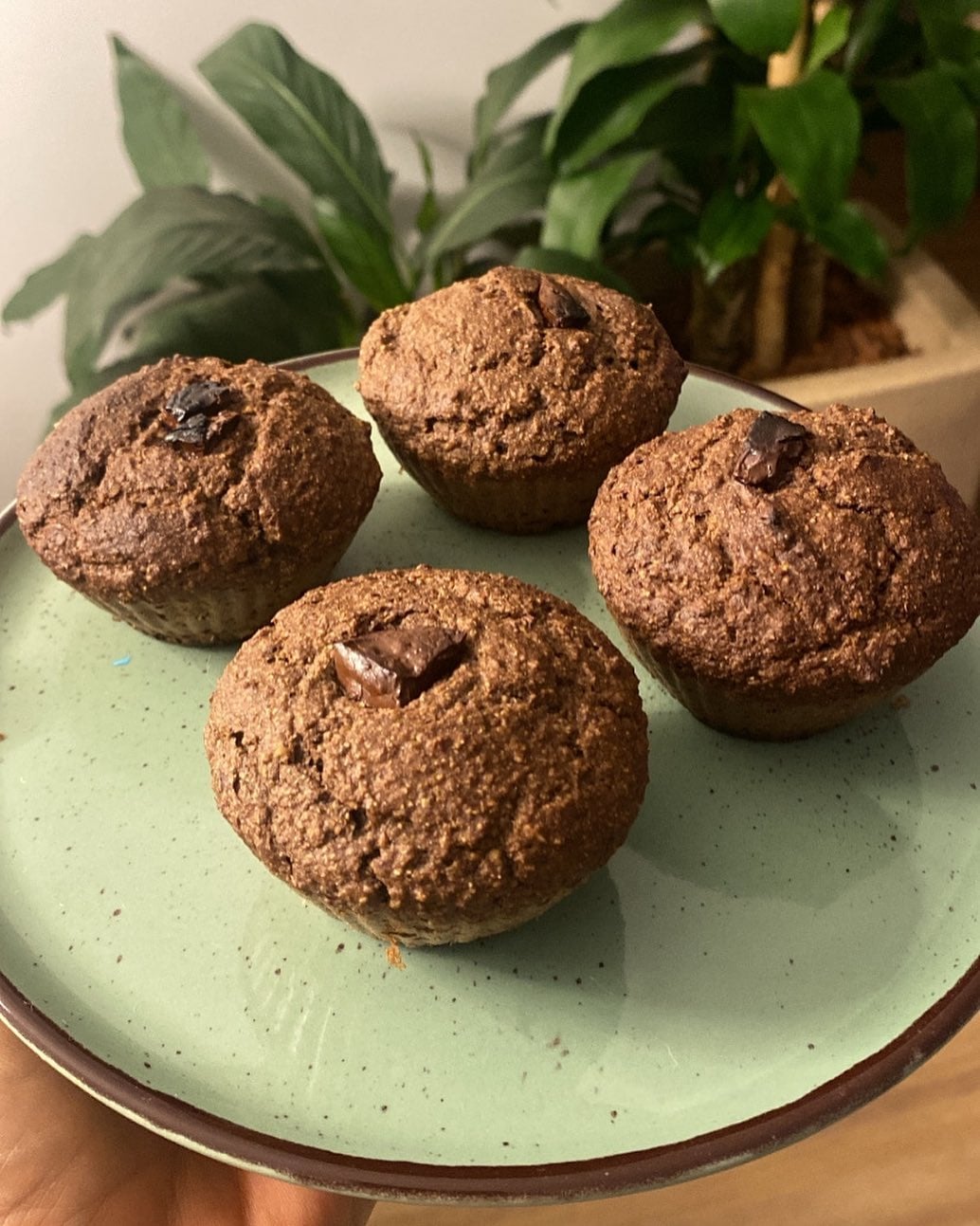 Cupcake de cacau fit