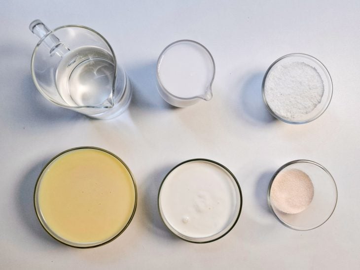 ingredientes para preparo de gelado de abacaxi com coco