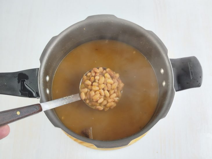 Grãos de feijão em uma concha.