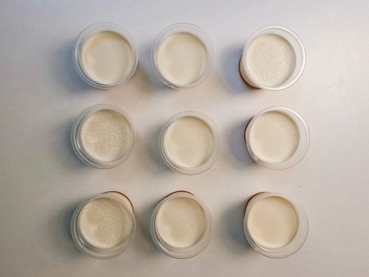 Mistura do flan distribuída nas forminhas.