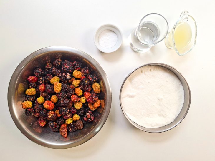 Ingredientes separados sobre a bancada.