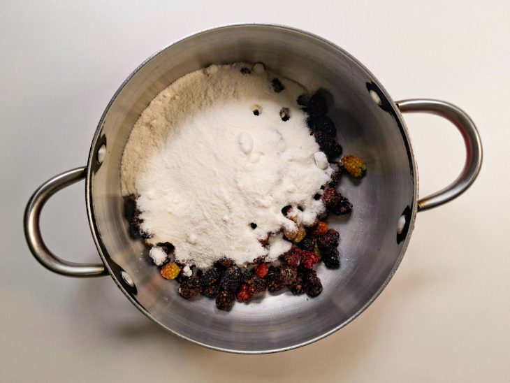 Ingredientes colocados na panela.