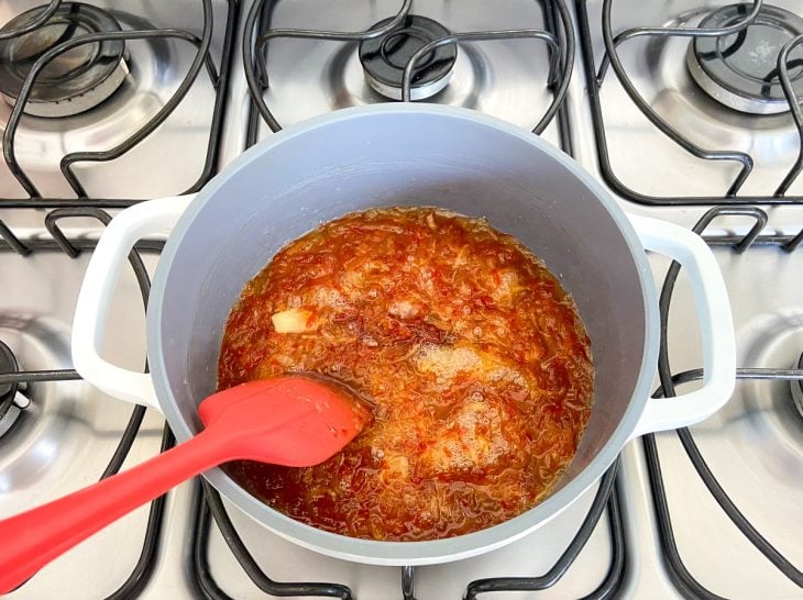 Uma panela contendo a mistura de pimenta picadinha, maçã ralada, suco de limão, dente de alho, canela em pau, açúcar, sal e água.