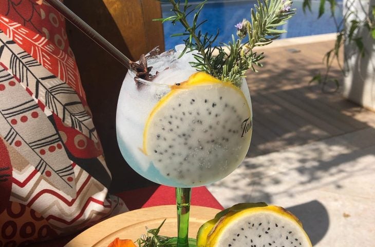 Gin com pitaya amarela