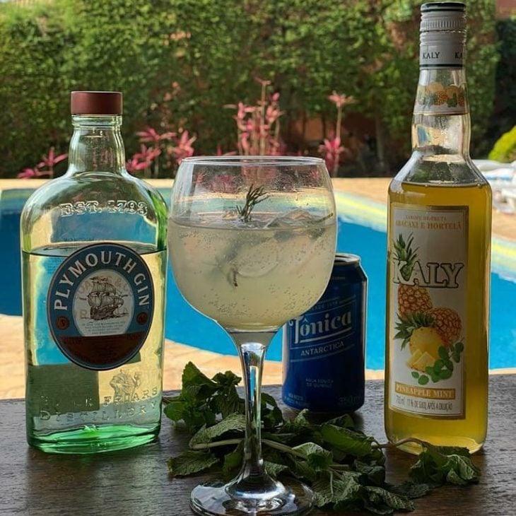 Gin de abacaxi com hortelã