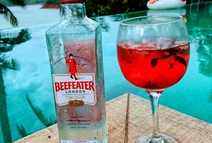 Gin de framboesa com hibisco