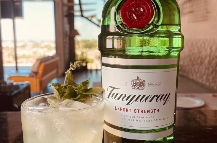 Gin de manjericão