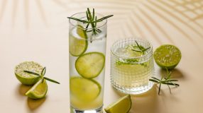 Gin tônica com limão
