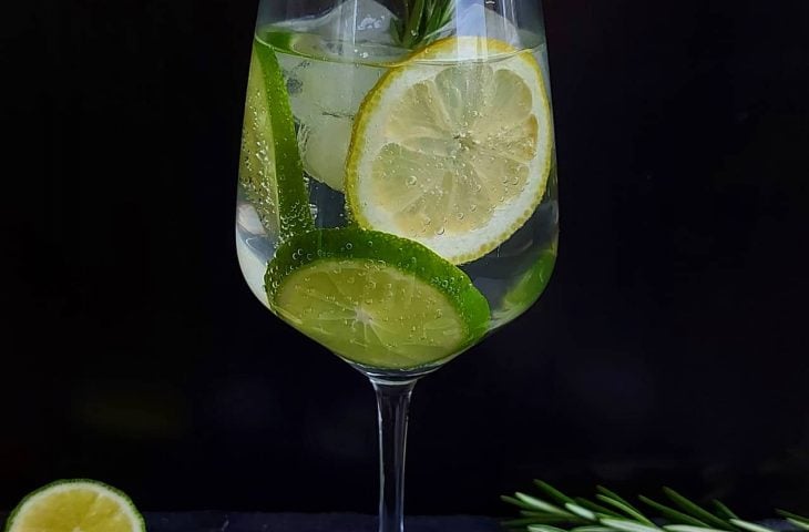 Gin tônica com limão
