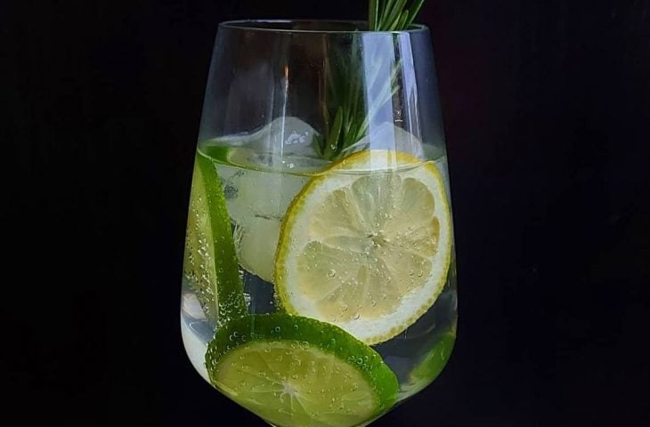 Gin tônica com limão