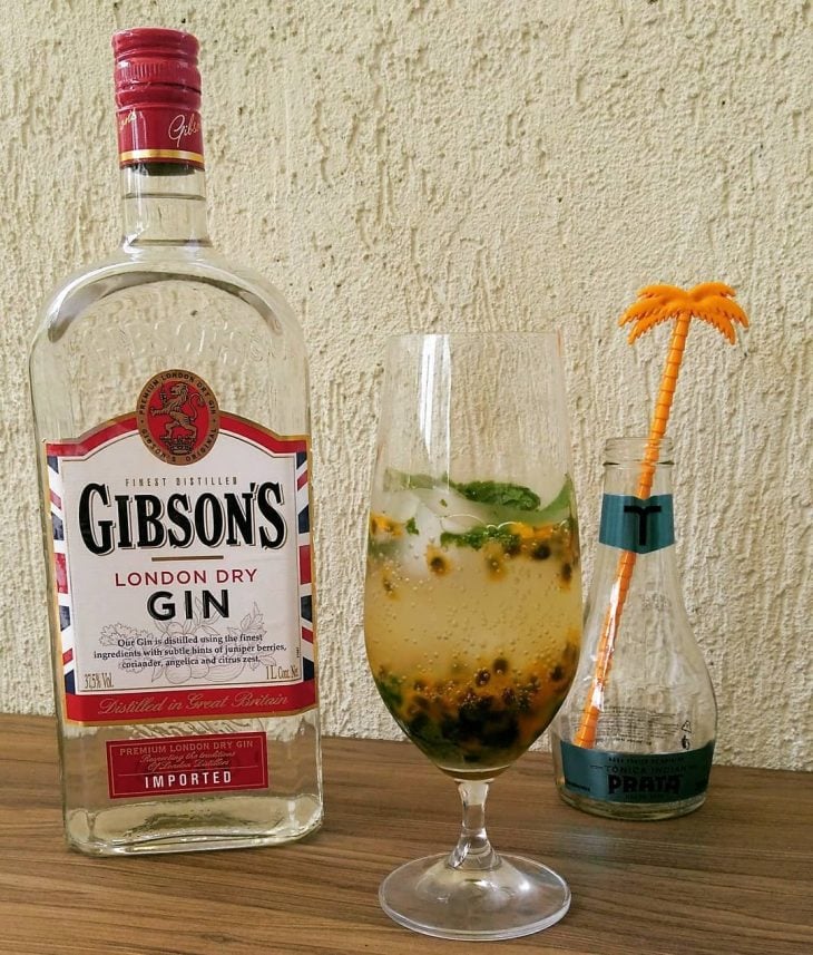 Gin tônica com maracujá e hortelã