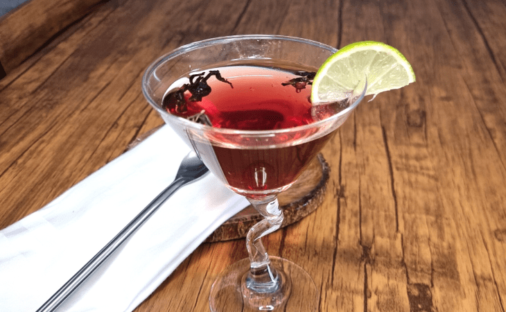 Hibiscus martini