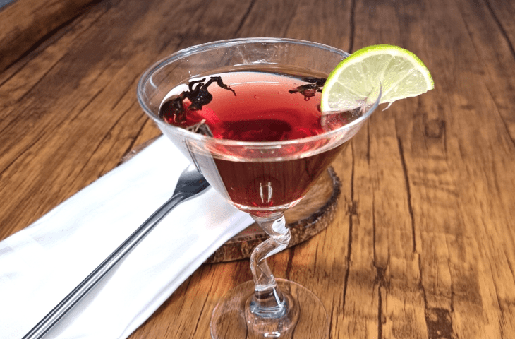 Hibiscus martini