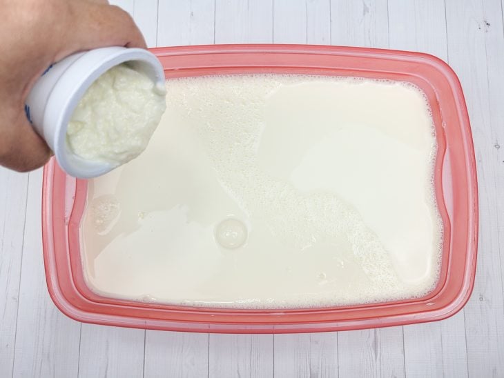 Um recipiente contendo leite e iogurte natural.