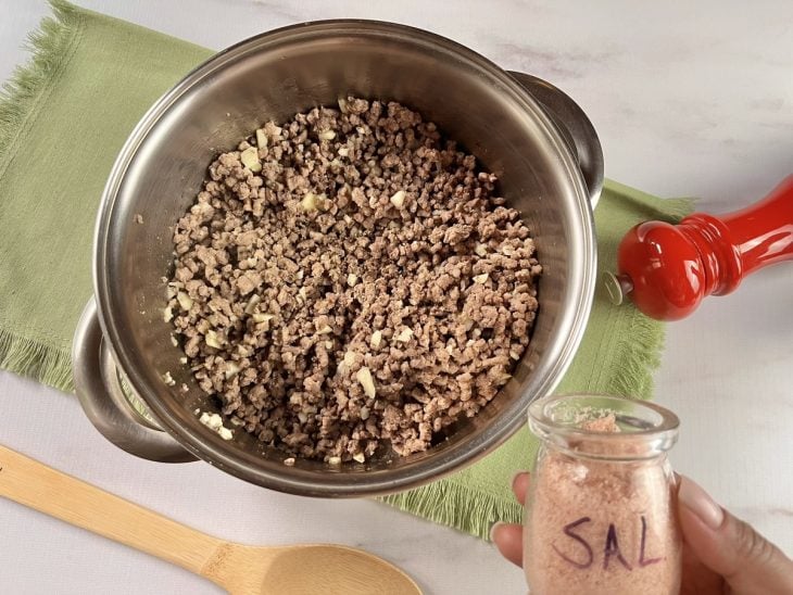 Carne moída na panela sendo temperada com condimentos.