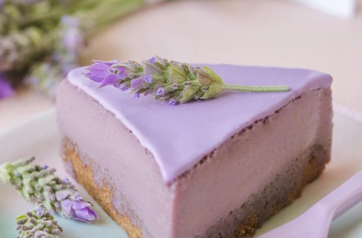 Lilac de amora