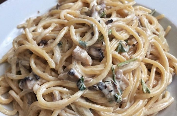 Macarrão ao molho branco vegano com ragu de cogumelos