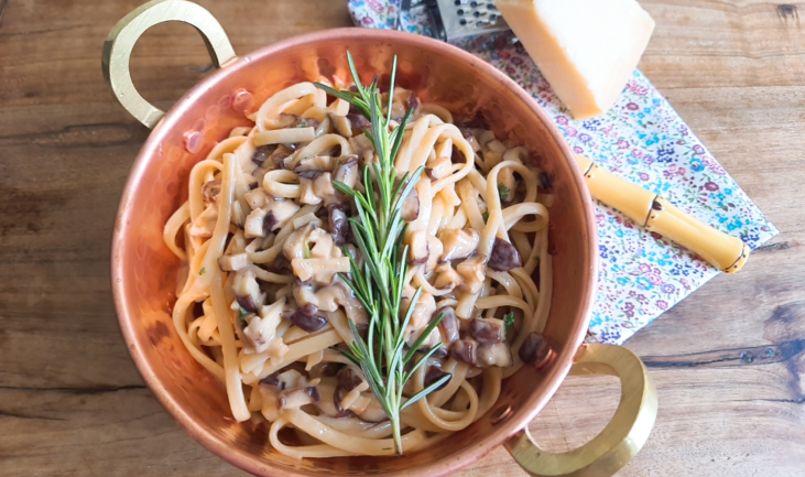 Macarrão com cogumelos fácil