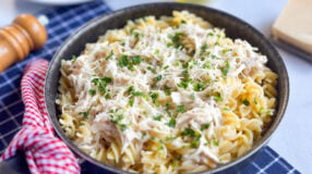 Macarrão com frango desfiado
