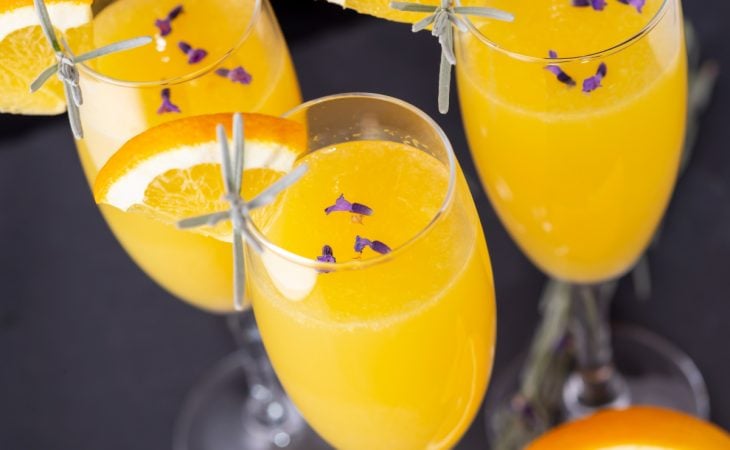 Mimosa