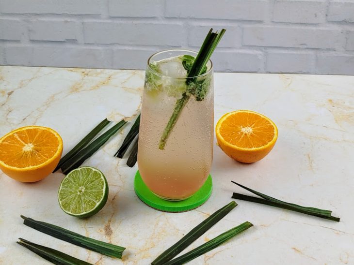 Copo contendo mojito com cidreira, laranja e limão.