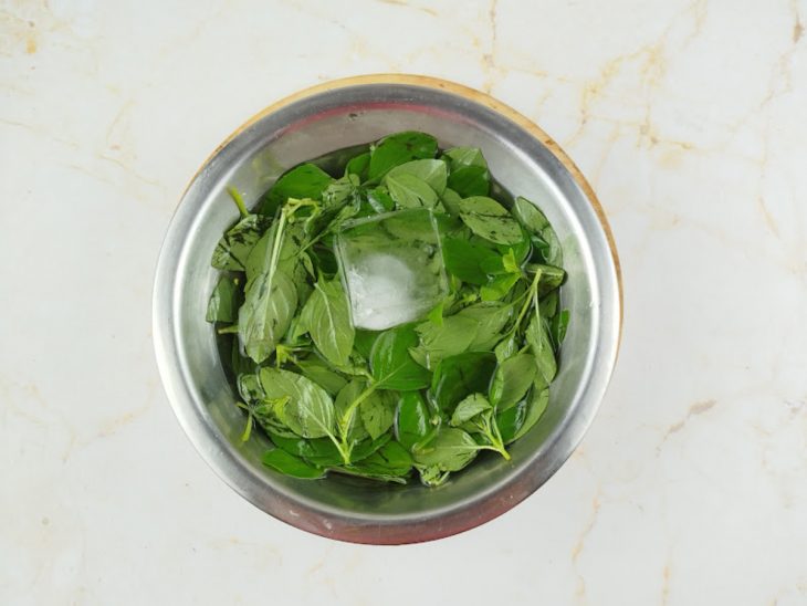 Folhas de manjericão de molho na água fria.