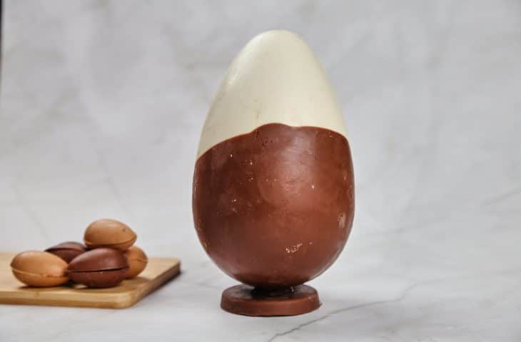 Ovo bicolor