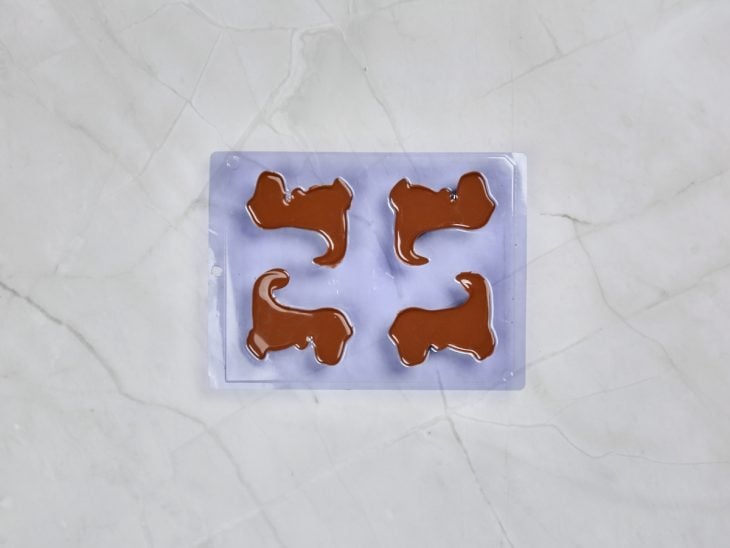 Forminha de dinossauros com chocolate.