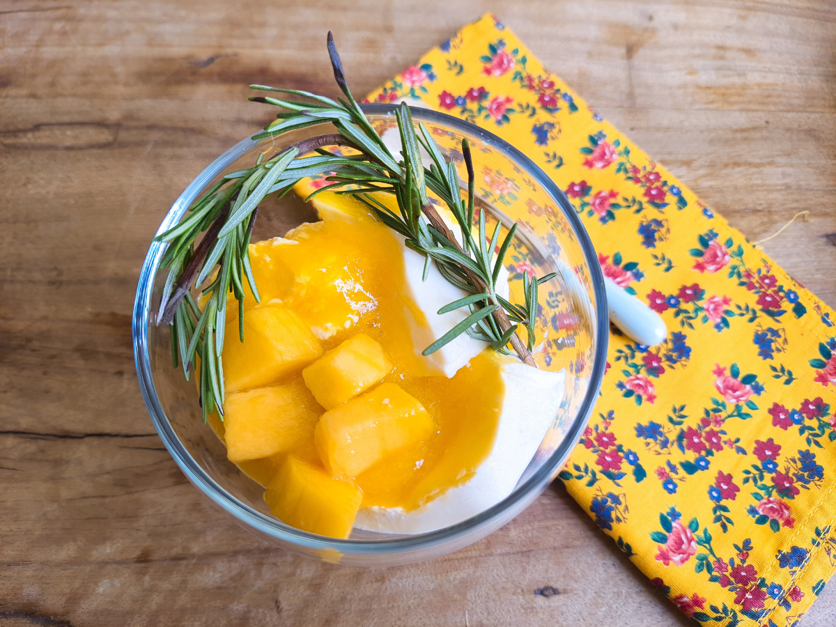 Panna cotta de manga simples