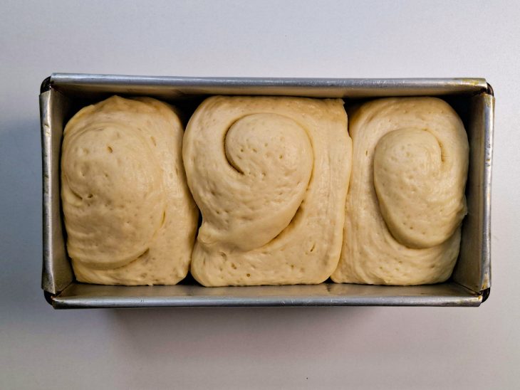 Massa na forma depois do período de crescimento.