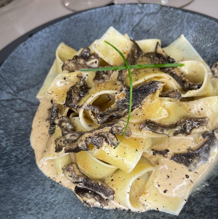 Pappardelle ao molho funghi