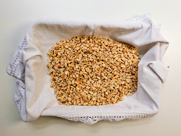 Amendoins já torrados sobre o guardanapo.