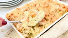 Penne ao molho branco com camarão