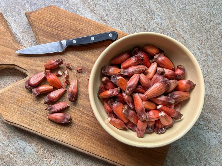 Pinhão com pontinhas cortadas para cozinhar.