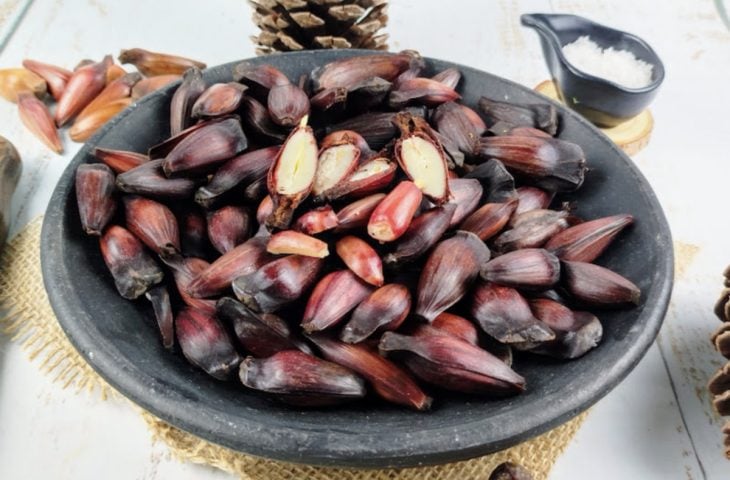 Pinhão na pressão