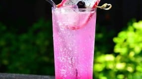 Pink dragon